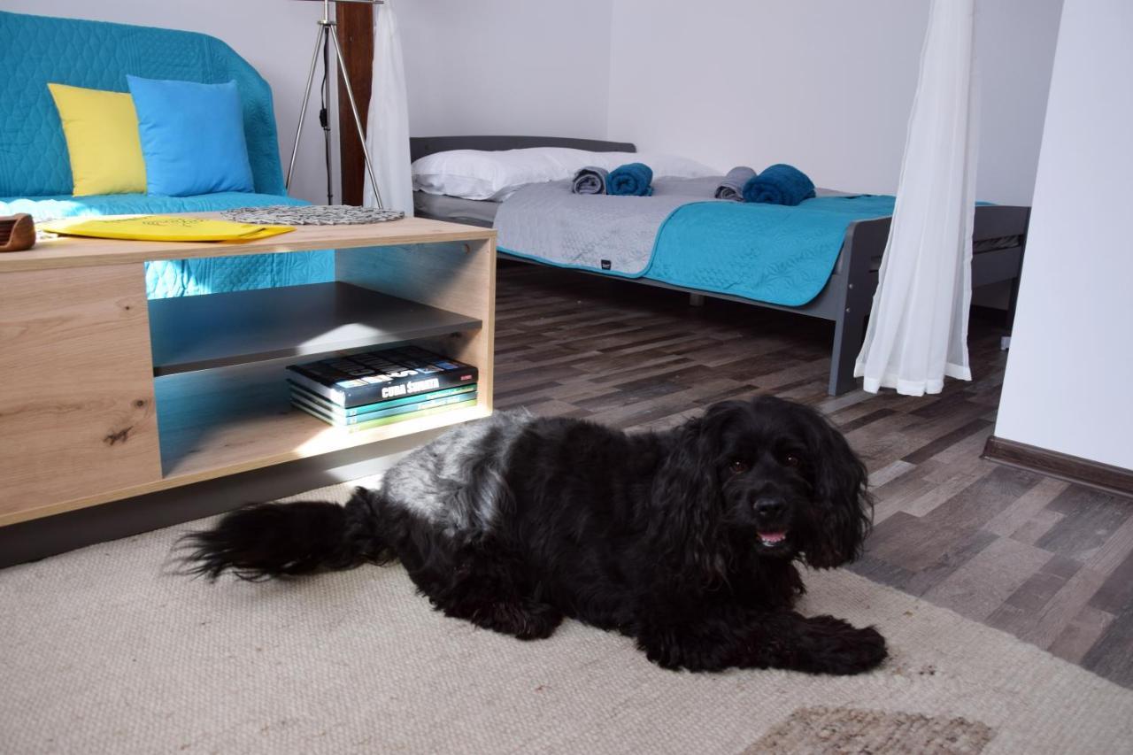 Apartament Gornicza W Kowarach Kowary Esterno foto